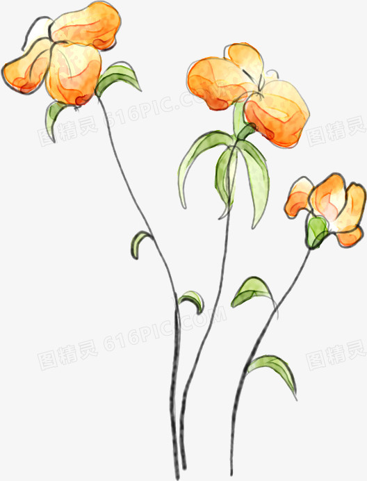 创意合成手绘橙色的花卉植物