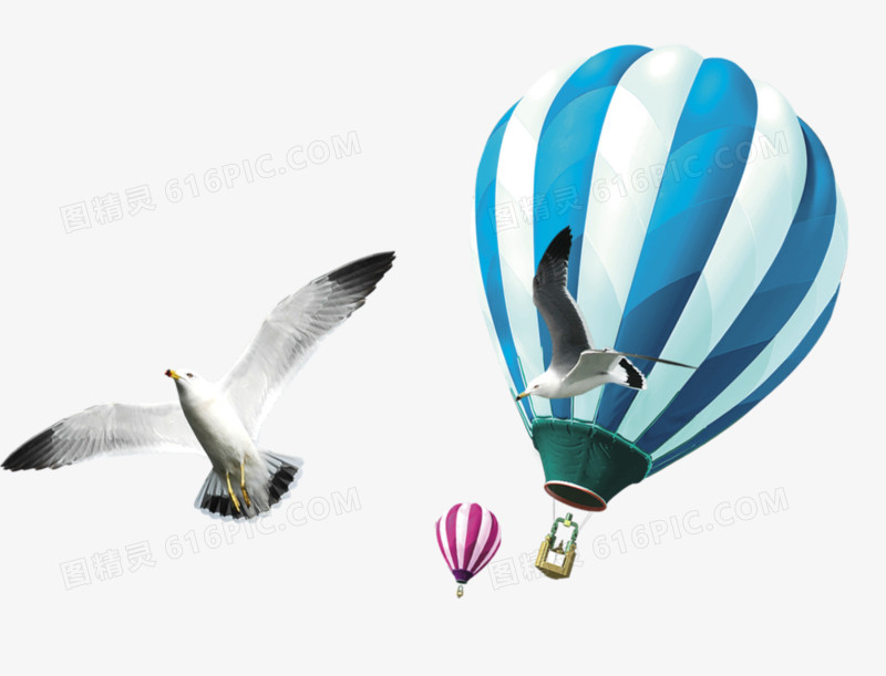 气球 热气球 氢气球 海鸥