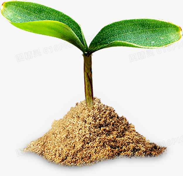 大树植物土壤节能