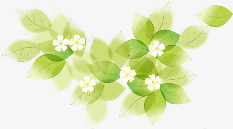 绿色梦幻树叶白色唯美花朵