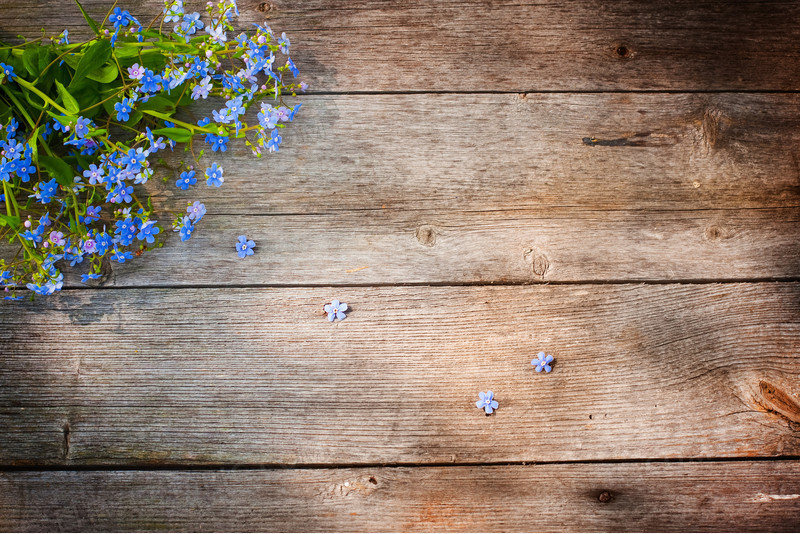 鲜花与木板背景