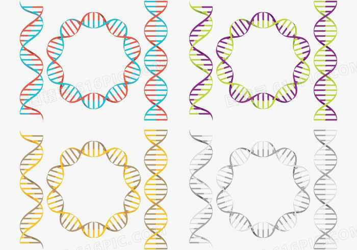 4个彩色双螺旋向量