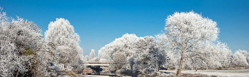 雪景背景图