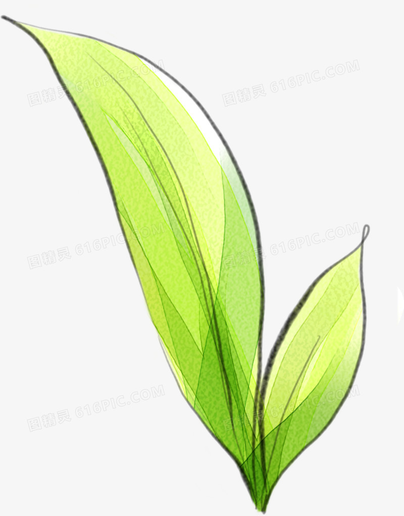 创意手绘合成绿色的植物芭蕉叶