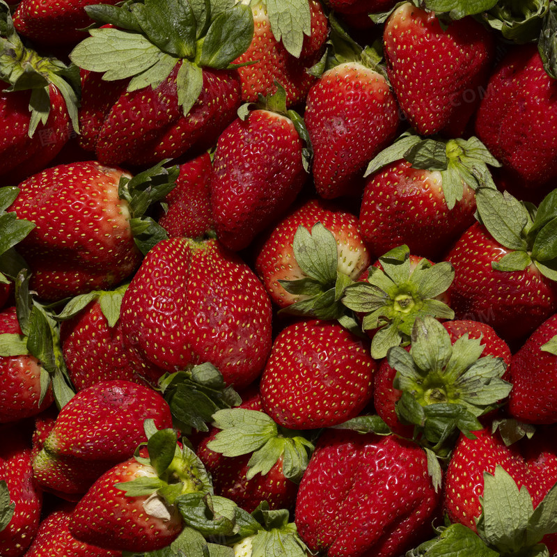 新鲜的草莓背景