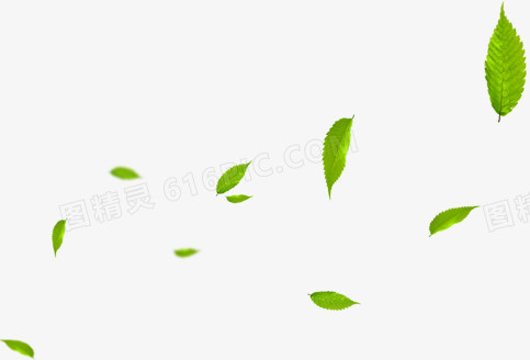 绿色清新漂浮树叶自然