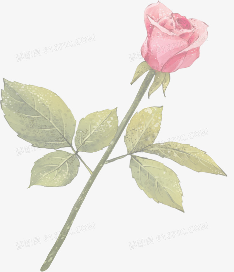 手绘创意粉色玫瑰花素材