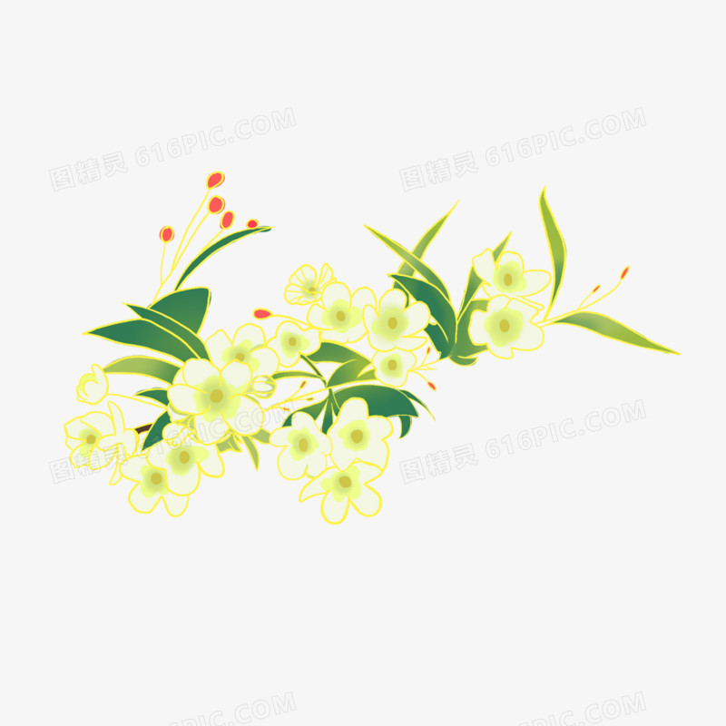 手绘植物花卉花朵素材