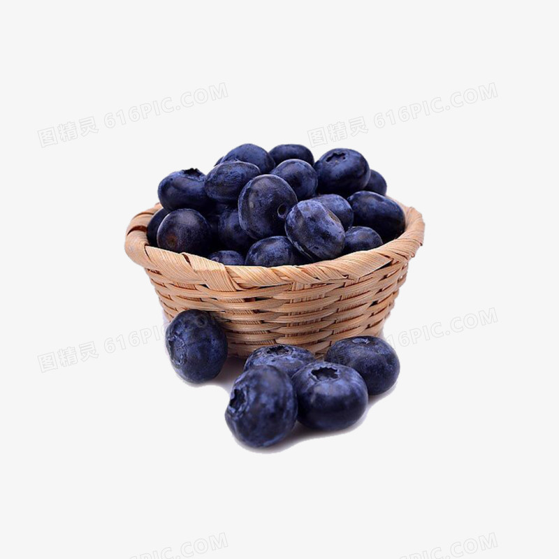 蓝莓实拍
