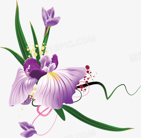 手绘藤蔓植物紫色小花