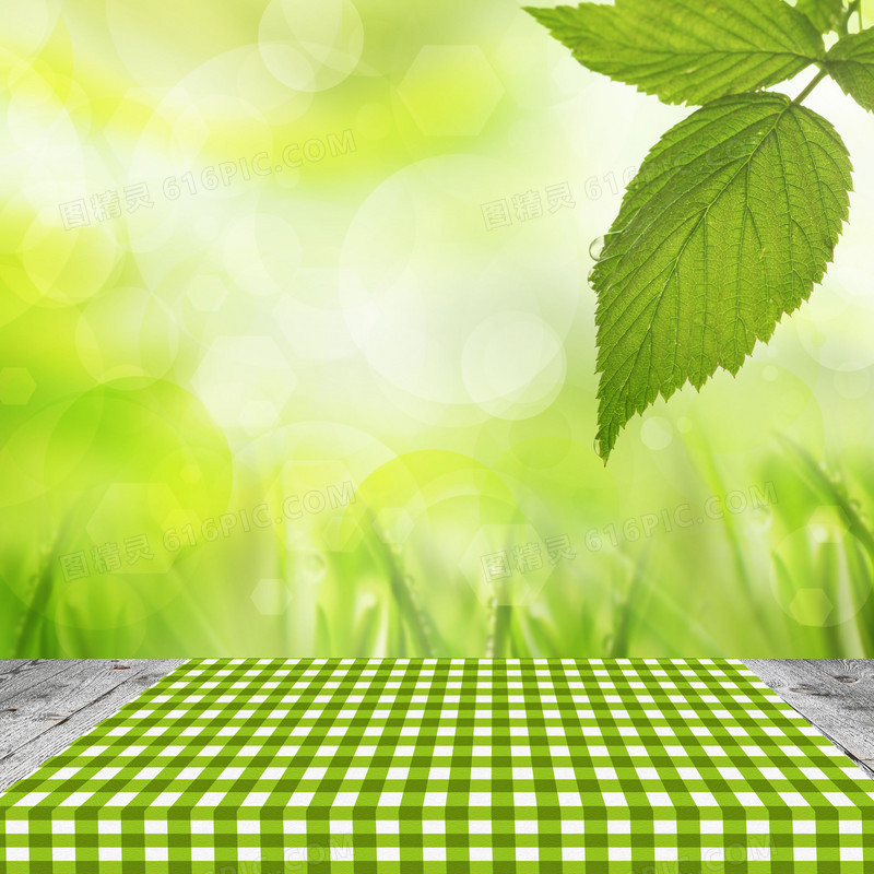 绿叶下的绿色格子桌布