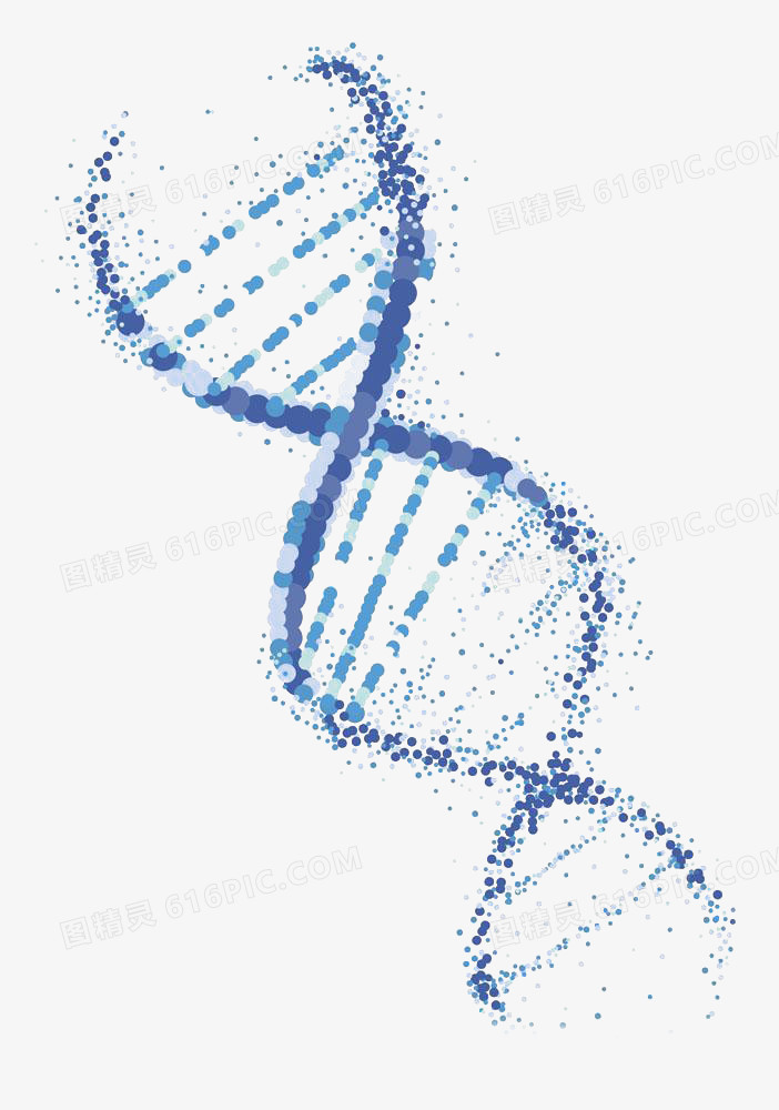 密集蓝点DNA