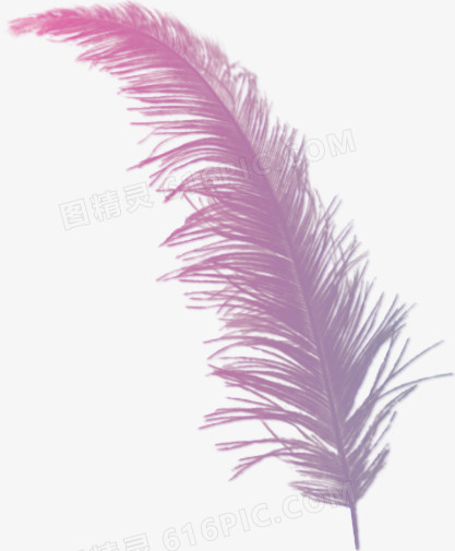创意翅膀图片羽毛翅膀 紫色唯美羽毛