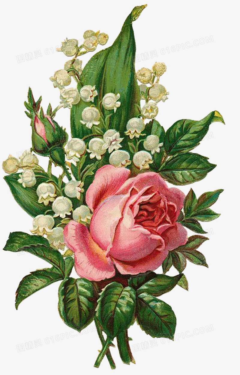 花束鲜花素材 精美花束玫瑰花