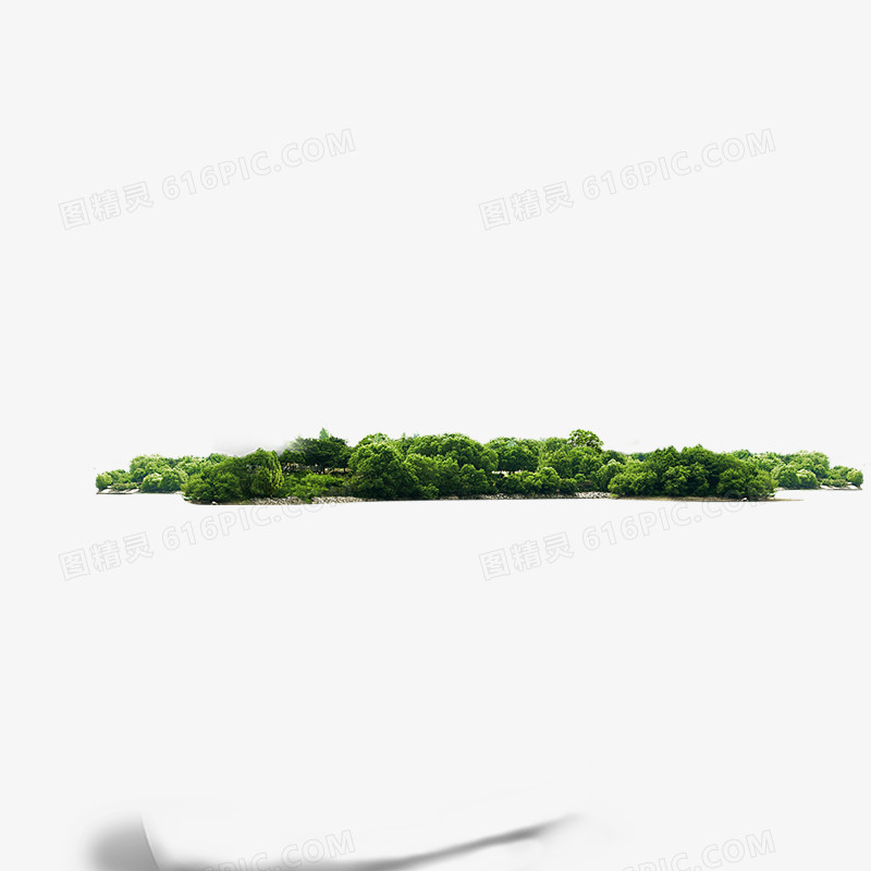 树林
