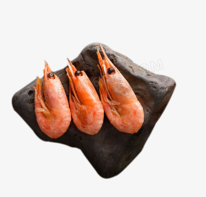 创意石块上的北极虾