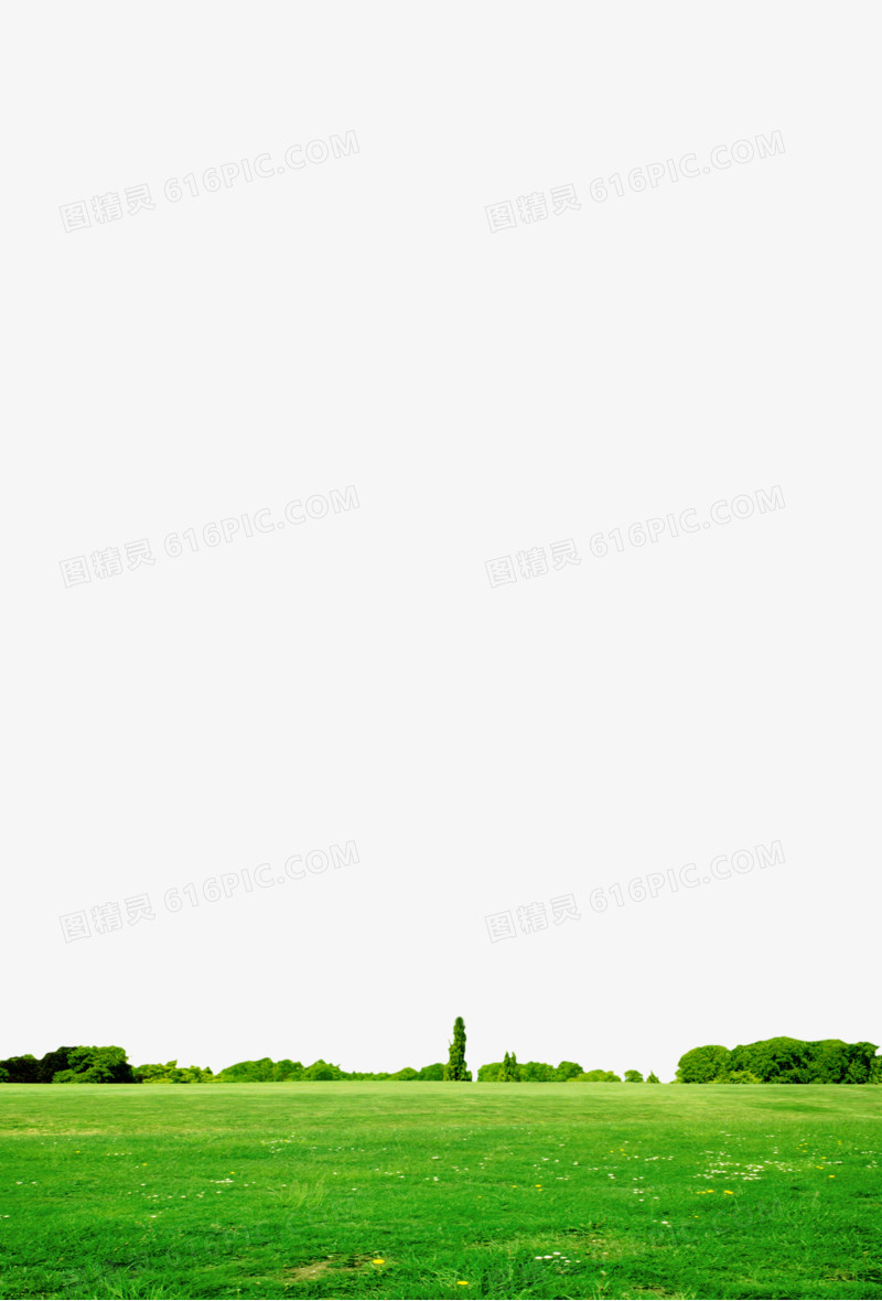 草地