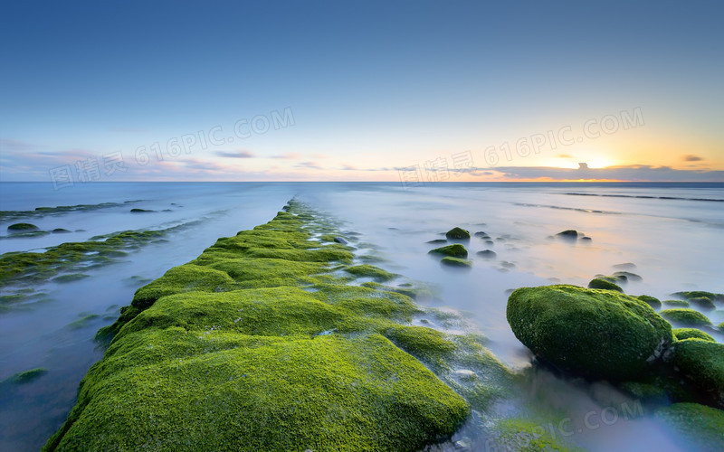 大海绿色石头背景素材图片