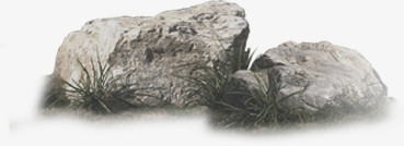 石头绿化设计图片