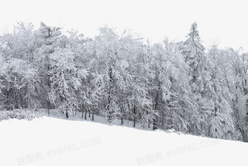 下雪的森林