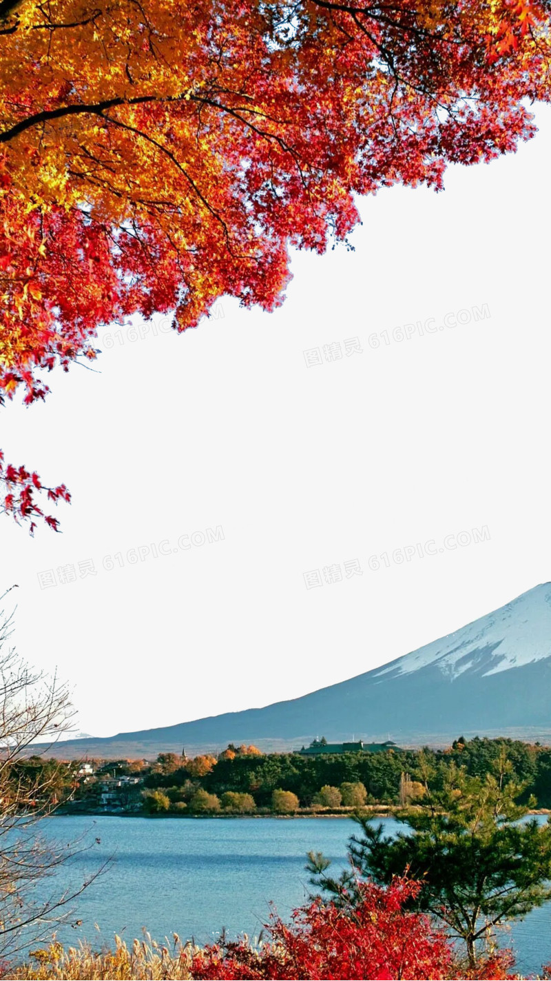 富士山下的秋天