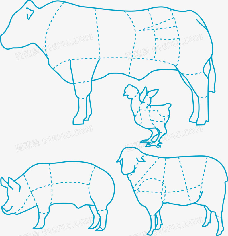 猪牛羊鸡食肉分布图