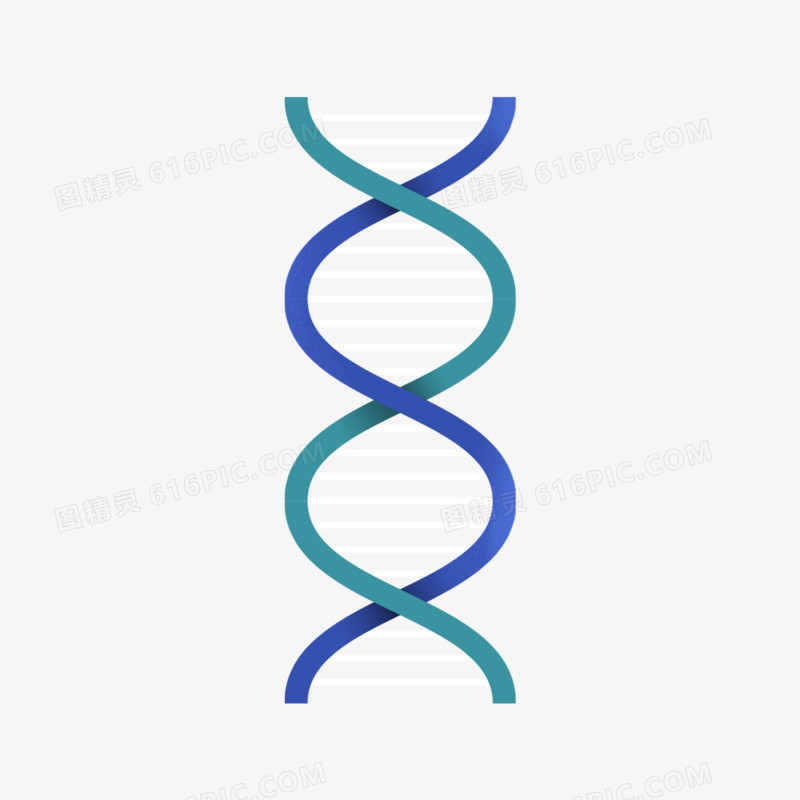 手绘基因图谱免抠素材