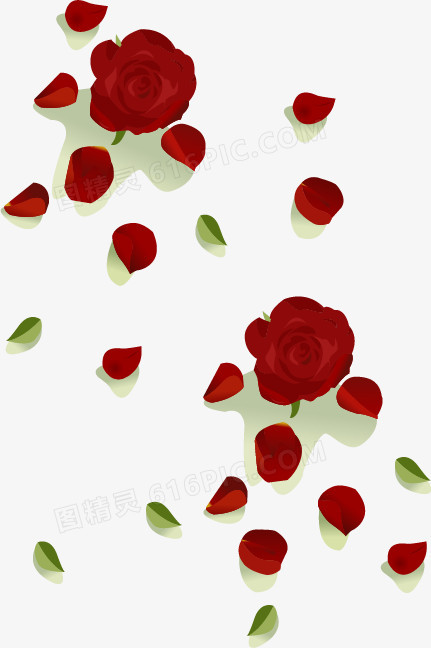 矢量手绘玫瑰花瓣