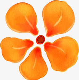 合成创意橙色的花瓣水彩