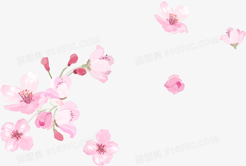 粉色淡雅唯美花朵花瓣