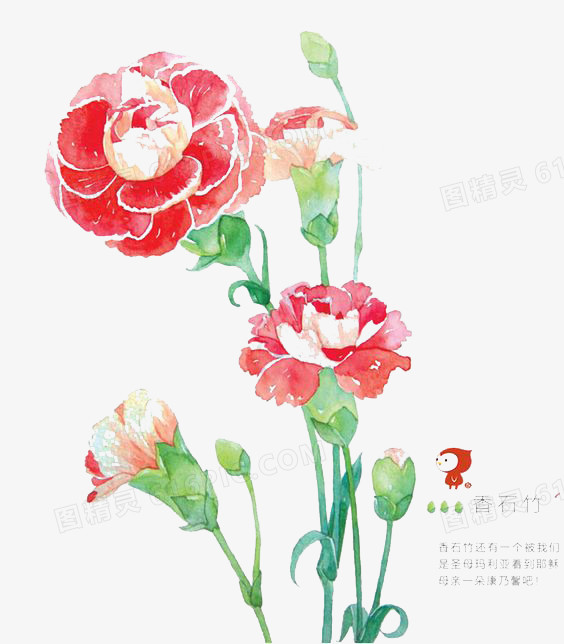 水彩手绘水仙花