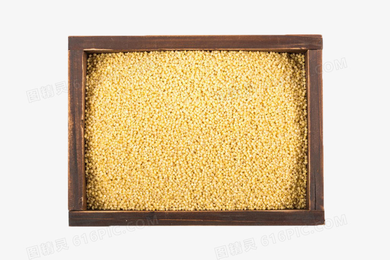 木盒子里的黄色小米