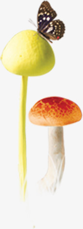 黄色蘑菇蝴蝶装饰