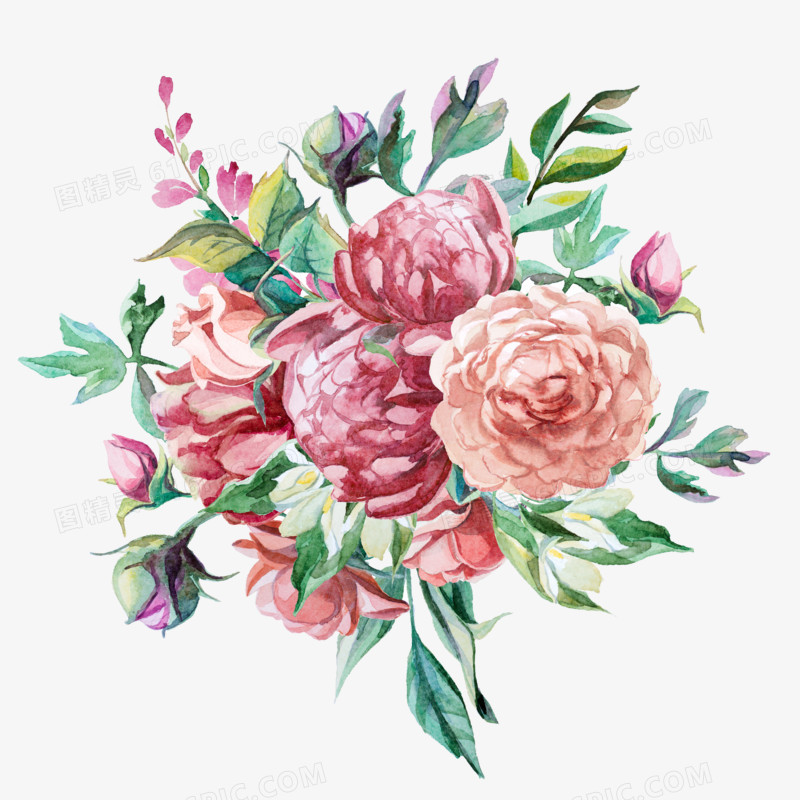 手绘花卉