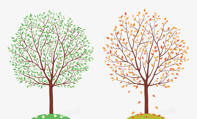 春秋季节树木矢量图