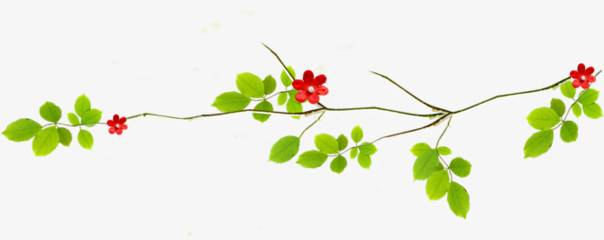 绿色春天花枝花朵装饰