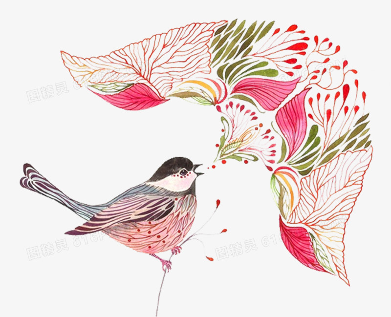 水彩动物喜鹊手绘插画