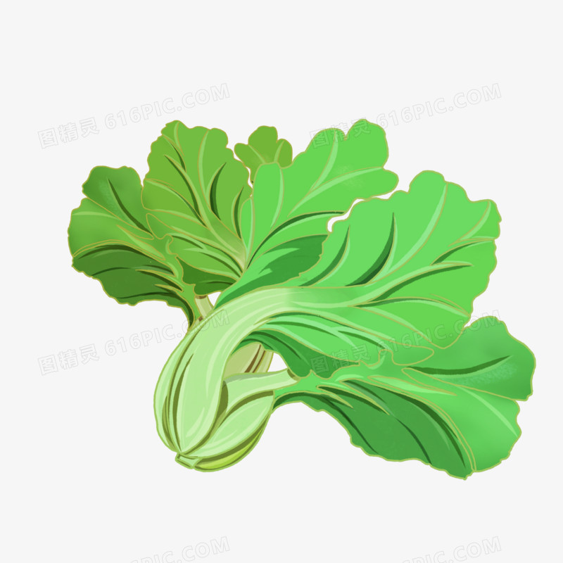 卡通手绘蔬菜芥菜素材