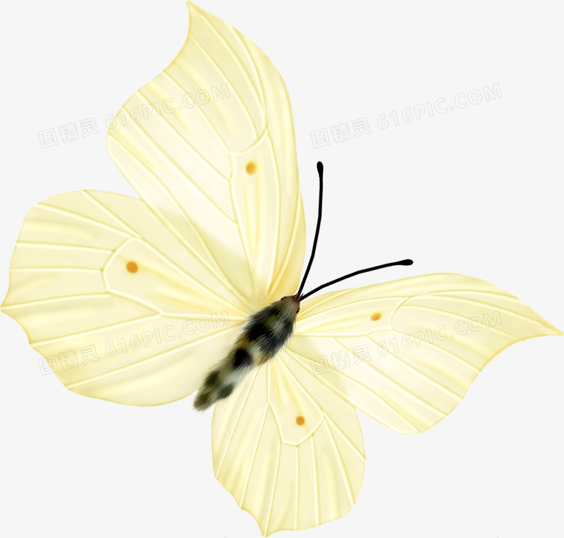 黄色可爱手绘蝴蝶设计
