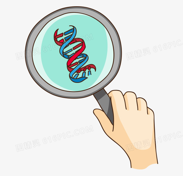 扫描DNA