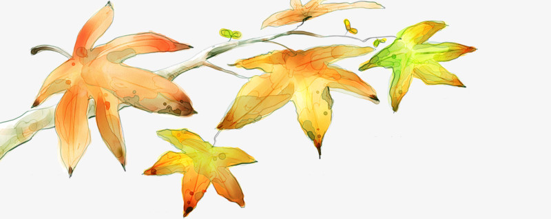秋季枫叶信纸设计