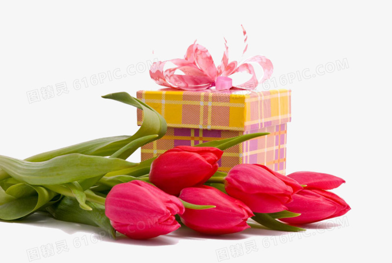 郁金香和礼物盒