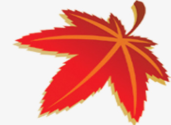 红色秋季枫叶装饰