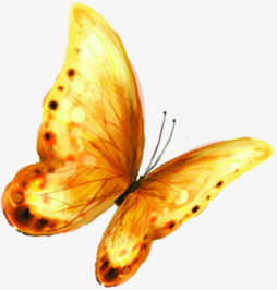 创意手绘水彩黄色的蝴蝶