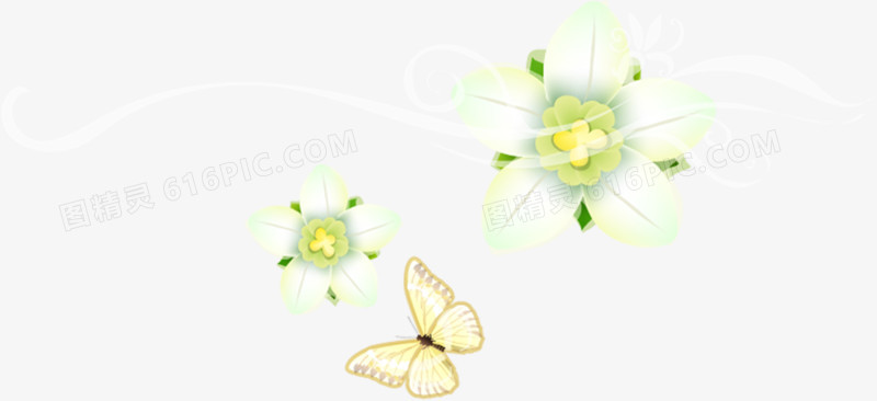 白色唯美蝴蝶花朵插画
