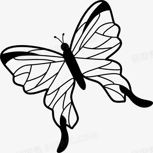 蝴蝶翅膀上有精美的角度旋转到左图标