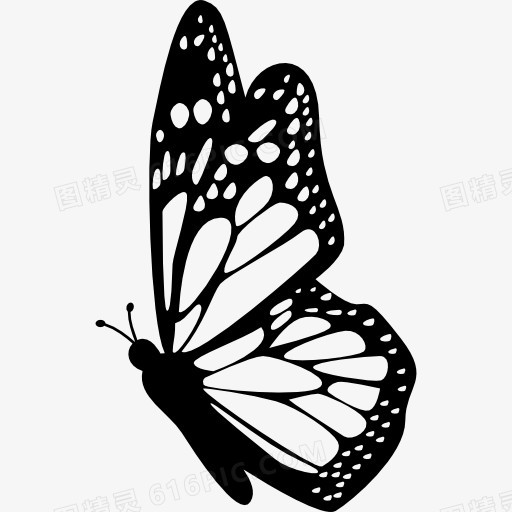 蝴蝶侧视图的详细的翅膀图标