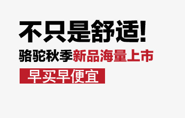 秋季骆驼舒适鞋海量上市