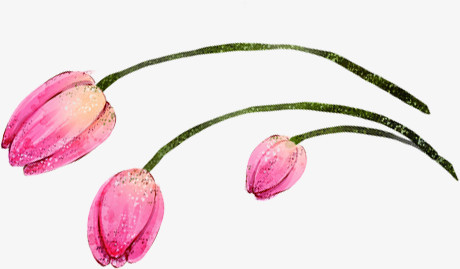 高清创意合成粉红色的水仙花