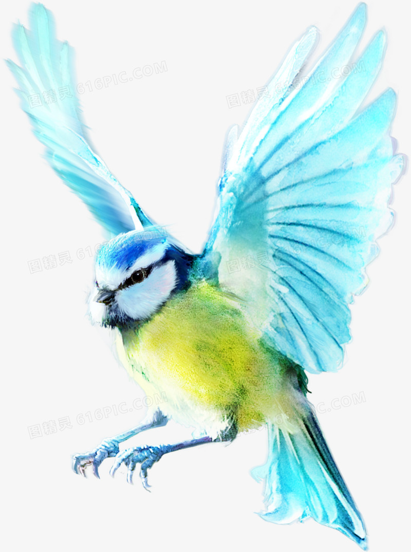 动物元素手绘动物素材 展翅的鸟